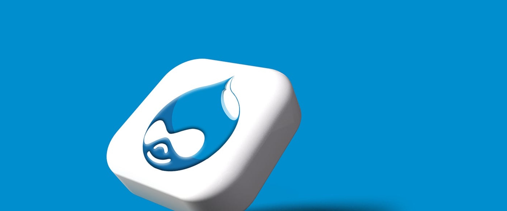 Understanding Drupal: A Comprehensive Look at a Powerful CMS