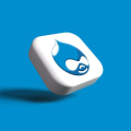 Understanding Drupal: A Comprehensive Look at a Powerful CMS